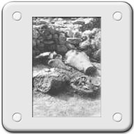 Villaggio Preistorico